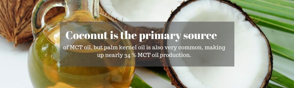 what are the sources of MCT oil ? 