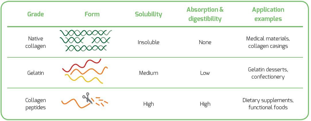 functional differences of gelatin , collagen and collagen peptides