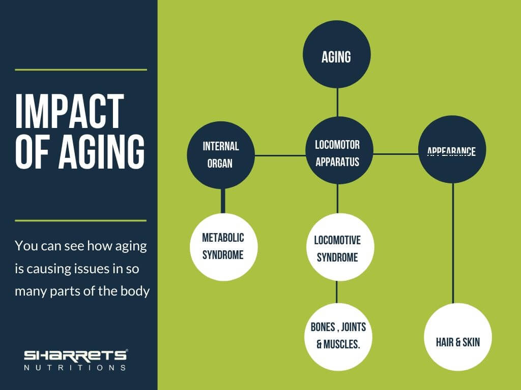 impact of aging- Sharrets Nutritions 