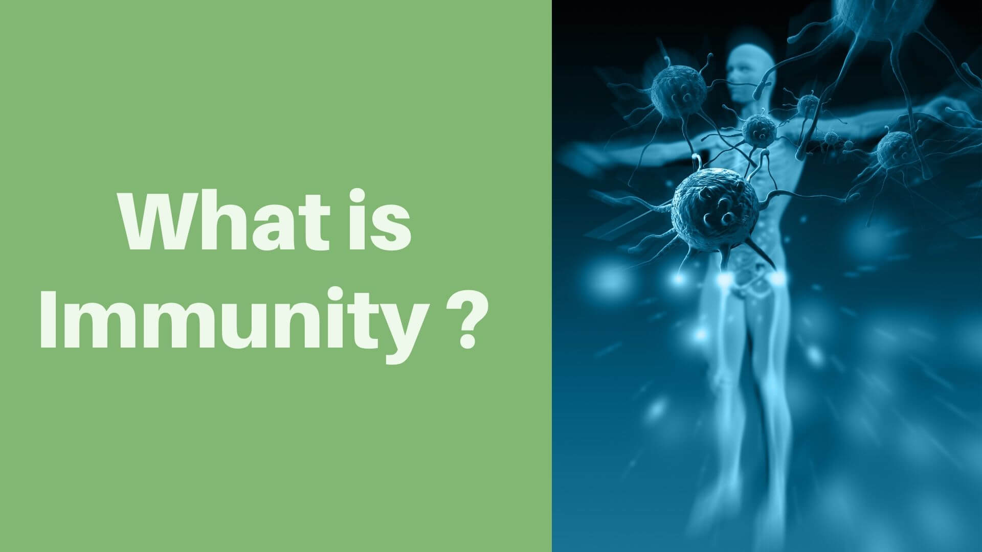 What is Immunity ? 