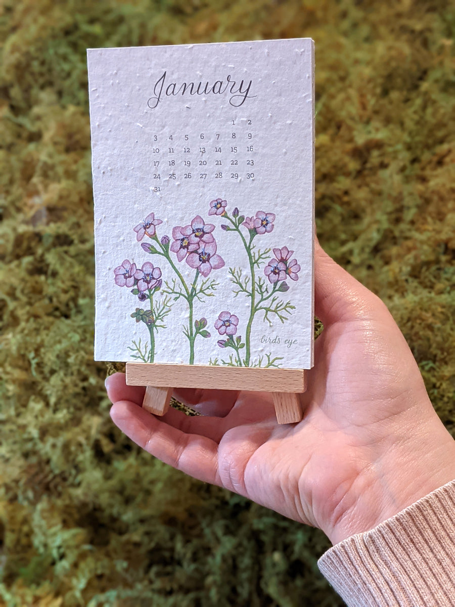 2023 Plantable Wildflower Calendar Mumbleweeds