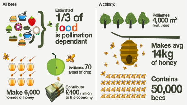 importance of bees for food supply
