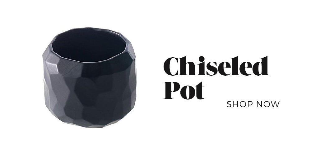 Black Rooster Decor - Get The Look: Brassed Bathroom Upgrade - Chiseled Pot