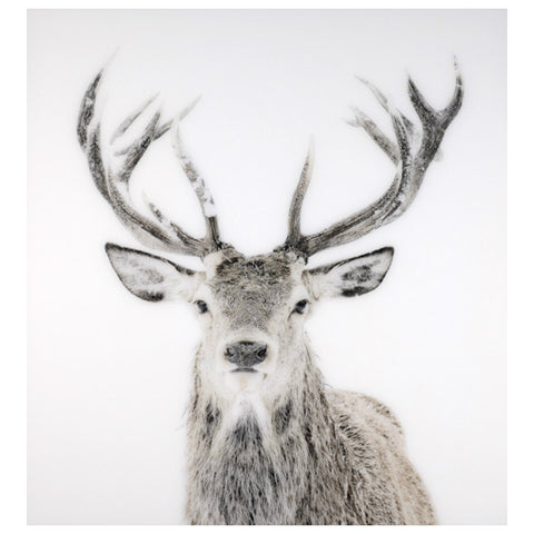 Holiday Decor Must-Haves: 2015 Acrylic Stag Wall Art