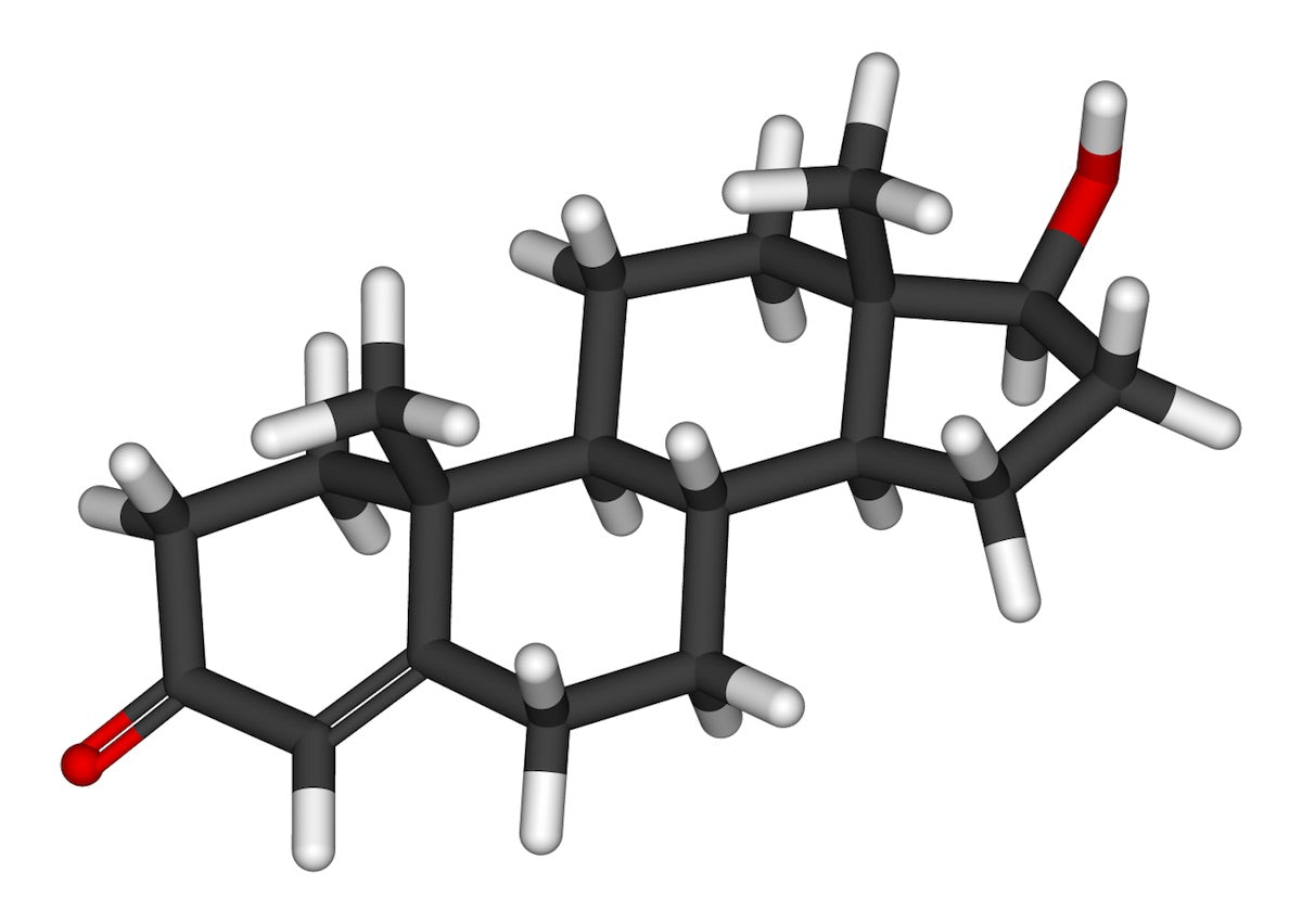 testosterone