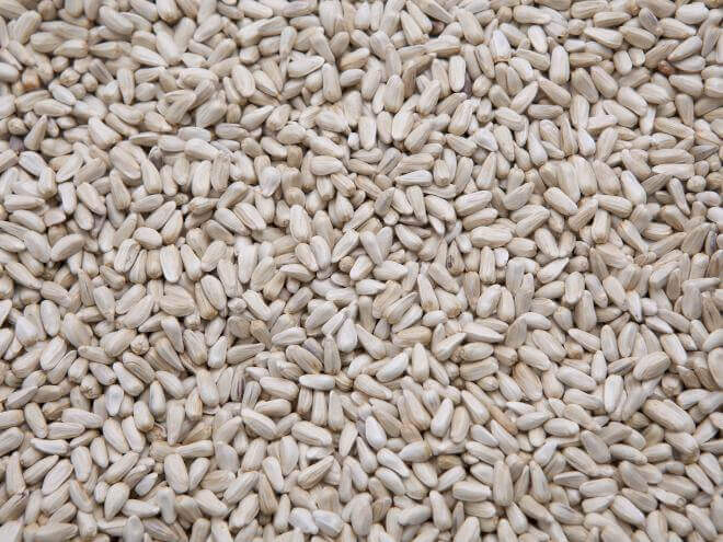 Des Moines Feed Safflower Seed 8 Lb Des Moines Ia West Des Moines Ia Urbandale Ia,Bbq Chicken Breast