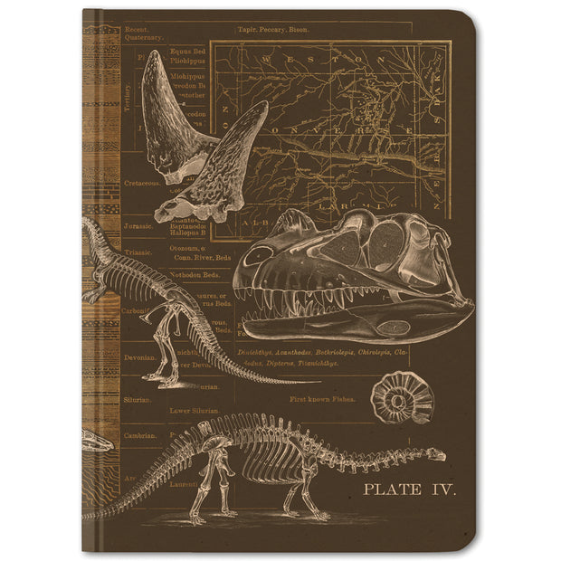 Dinosaur Hardcover Notebook - Dot Grid | Field Museum Store