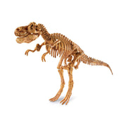 Dig It Up! Tyrannosaurus Rex | Field Museum Store