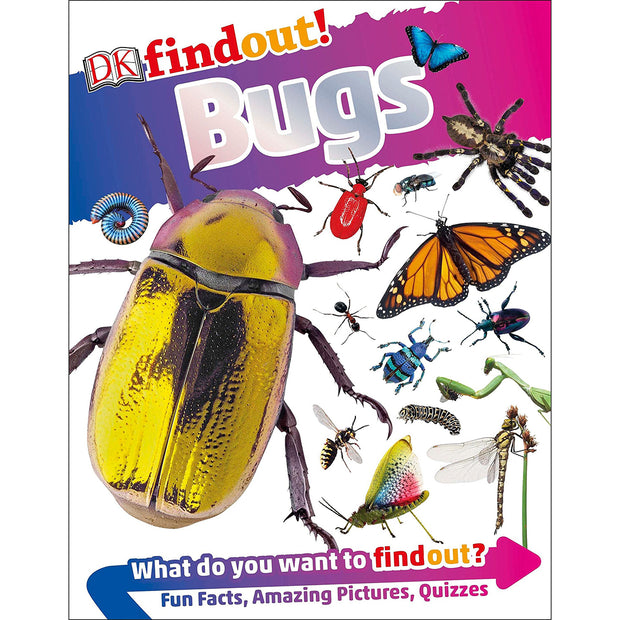 DKfindout! Bugs