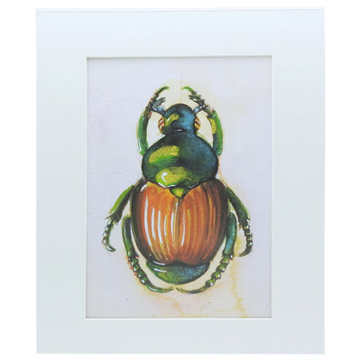 Peggy Macnamara Beetle Print | Field Museum Store