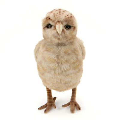 Realistic Burrowing Owl Plush