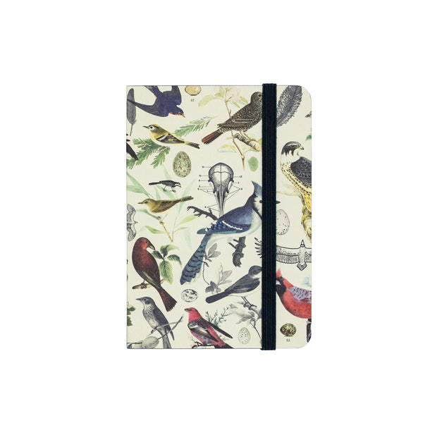 Birds & Feathers Pocket Notebook