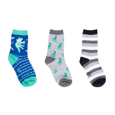 Arch-eology Youth Socks 3-Pack