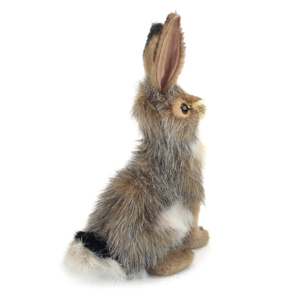Realistic Blacktail Rabbit Plush | Field Museum Store