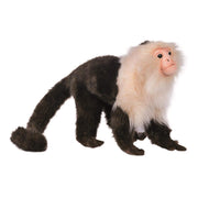 Realistic Capuchin Monkey Plush | Field Museum Store