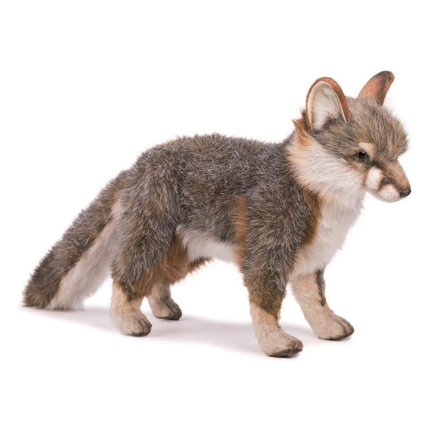 Realistic Grey Fox Plush | Field Museum Store