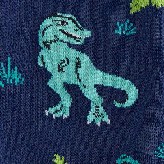 Land of the Dino Crew Socks | Field Museum Store