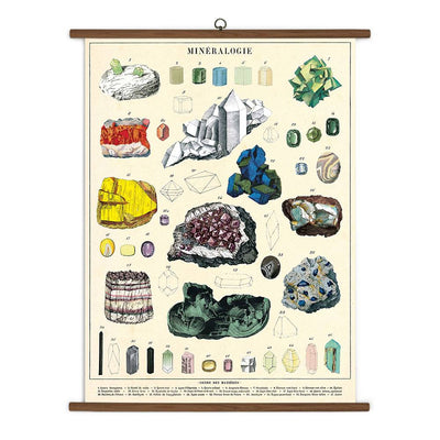 Mineralogy School Chart | Field Museum Store