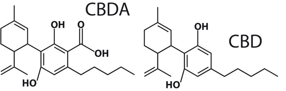 What is the difference between CBD CBDa?