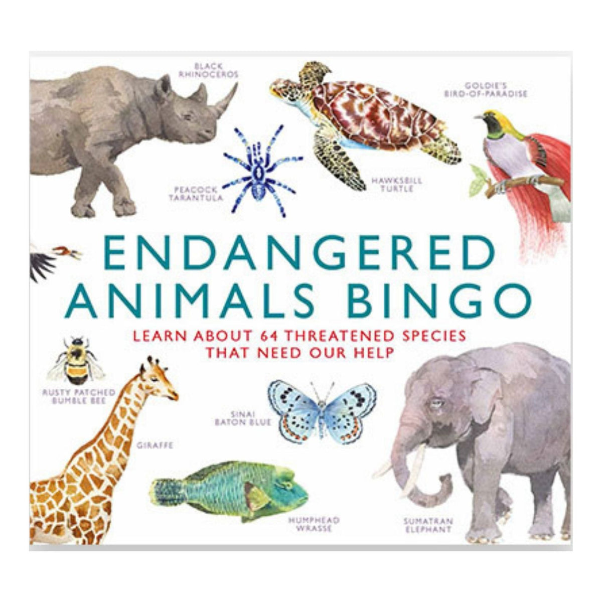 Endangered Animals Bingo – Petronella's Gallery and Bookstore