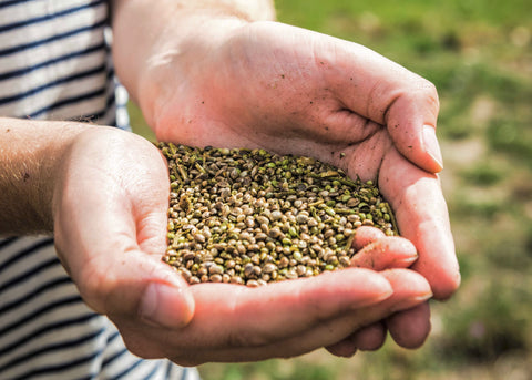 the brothers green hemp hearts