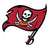 Tampa Bay Buccaneers