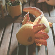 Axol & Friends - Yellow Realistic Axolotl  Plush