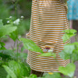 Little Green Radicals - Gold Striped Frill Dress