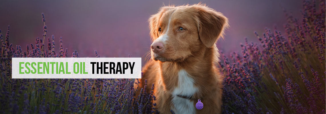 Aromatherapy Products for Pets