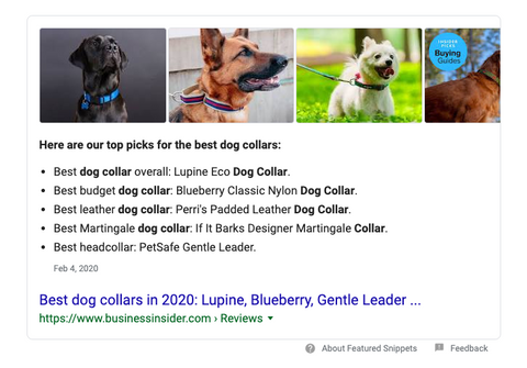 Google Search feature for comfortable dog collars 
