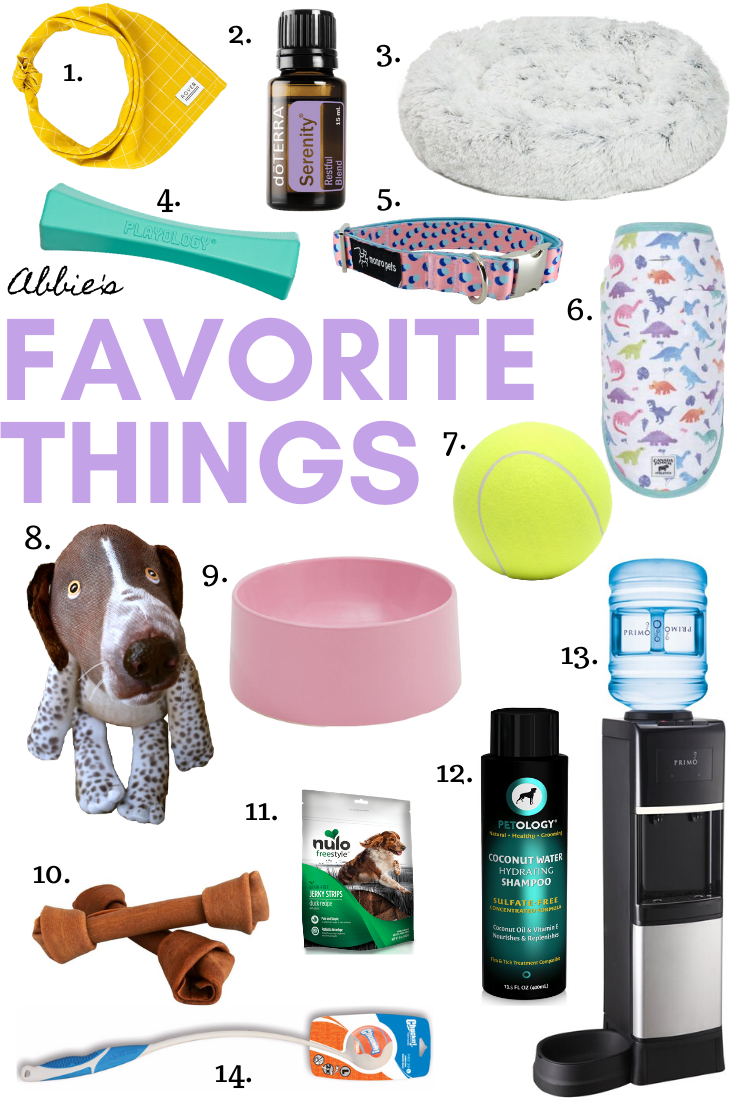 Gal's Best Friend 2019 Christmas Gift Guide for Abbie