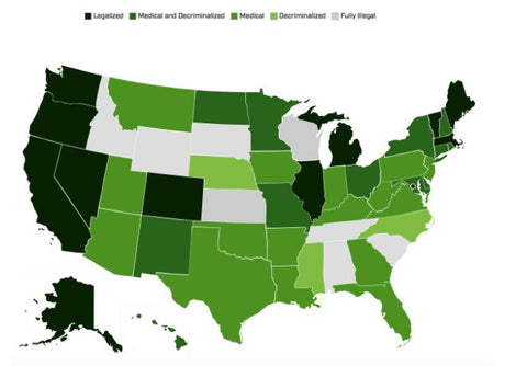 The Green Blazer recreational cannabis 2020 stats political views