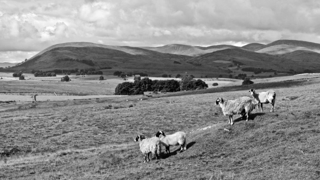 Best walks in Yorkshire - Howgills walk