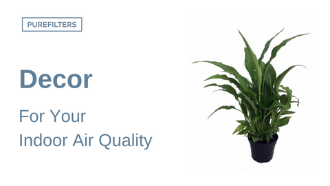 Indoor Air quality tips