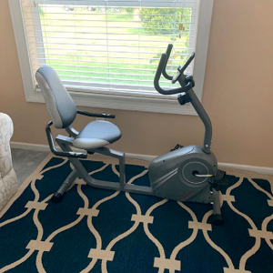 recumbent bike