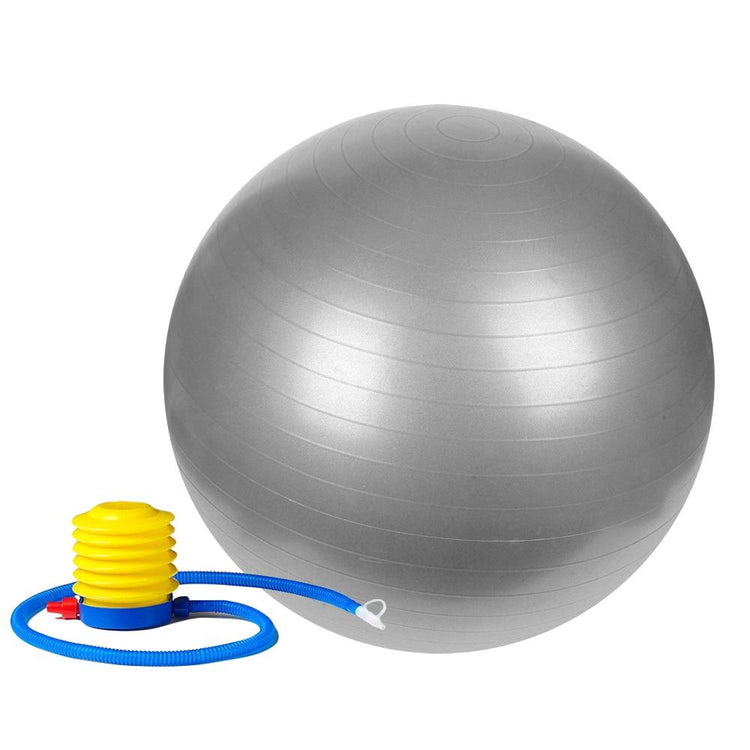 Anti-Burst Gym Ball w/ Pump - 55cm - 75cm - Sunny Health and Fitness - Silver