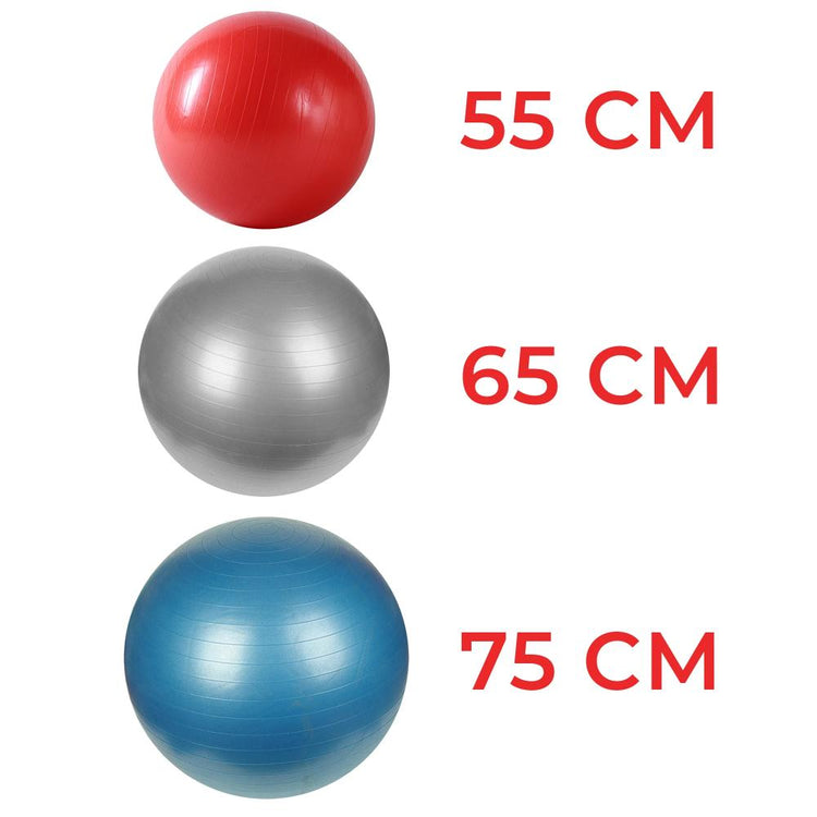 Anti-Burst Gym Ball w/ Pump - 55cm - 75cm - Sunny Health and Fitness