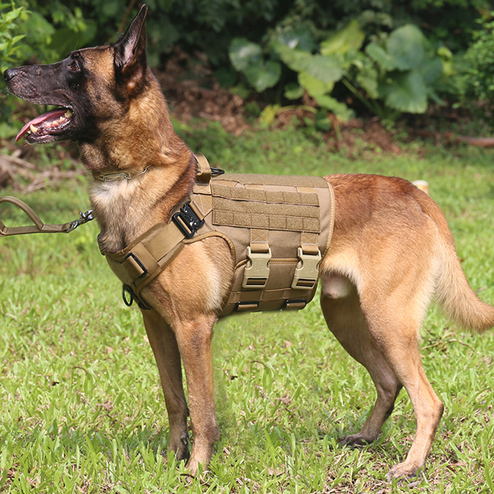 0円 本物 Tactical Dog Vest Molle k9 Harness with Pulling Handle and Front Clip Leash
