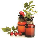 Rosehip_Seed_Oil