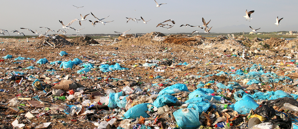 Sea birds fly above massive Muizenberg landfill site