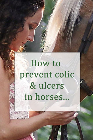 Horse Ulcers Colic