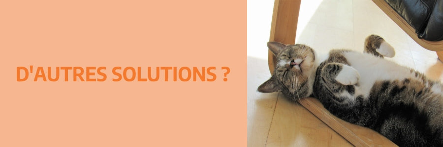 d'autres solutions pour mon chat ?