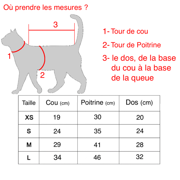 Comment mesurer votre chat