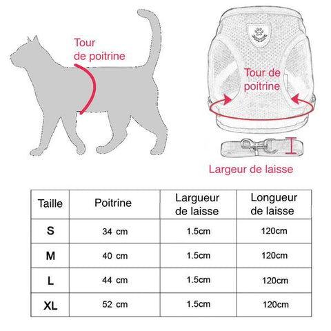 chat harnais dimensions