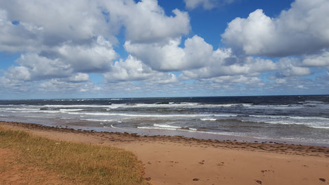 Surf at Thunder Cove