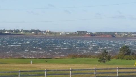 Choppy Waters at Darnley Basin