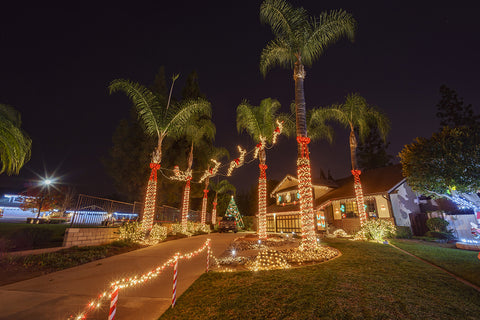 Christmas House Palm lights Christmas songs and carols