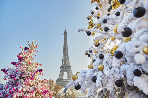 Christmas tree covered with snow near the Eiffel tower in Paris | Christmas Songs and Carols Love to Sing