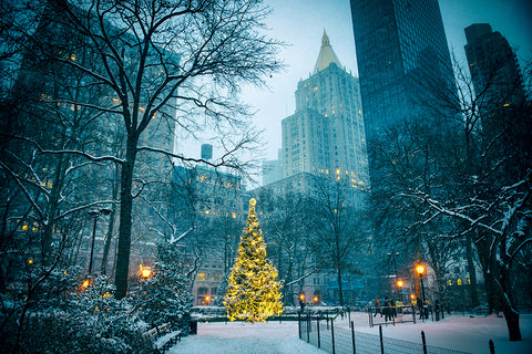 Scenic winter evening view of the glowing lights of a Christmas tree surrounded by the skyscrapers of Midtown Manhattan in Madison Square Park | Christmas Songs and Carols Love to Sing