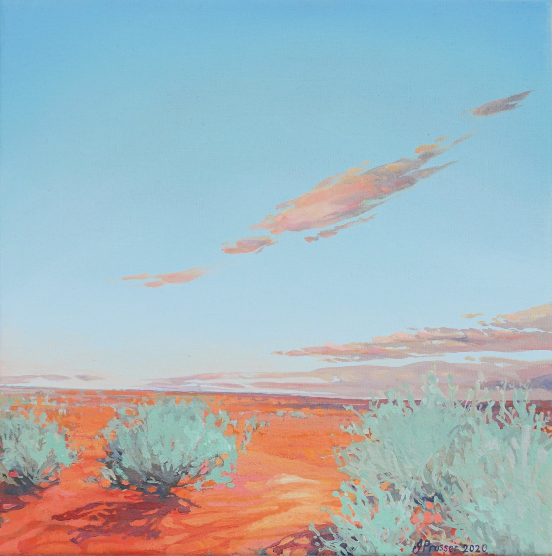 australian landscape desert